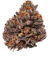 Diamond Tree Dispensary Cannabis Company Syracuse
