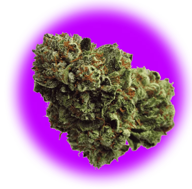 Diamond Tree Dispensary Cannabis Company Syracuse