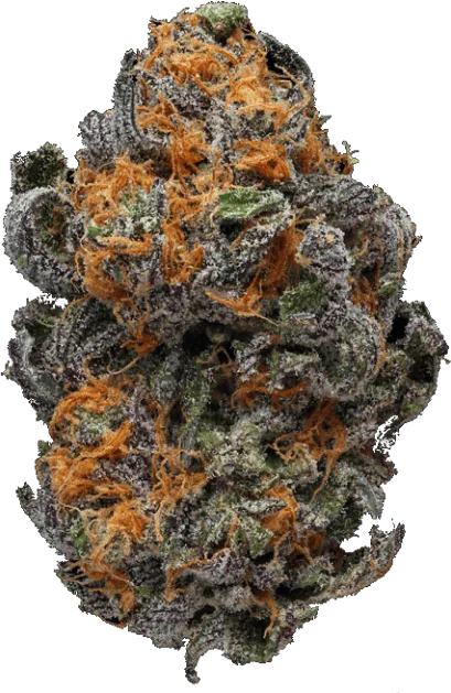 Diamond Tree Dispensary Cannabis Company Syracuse