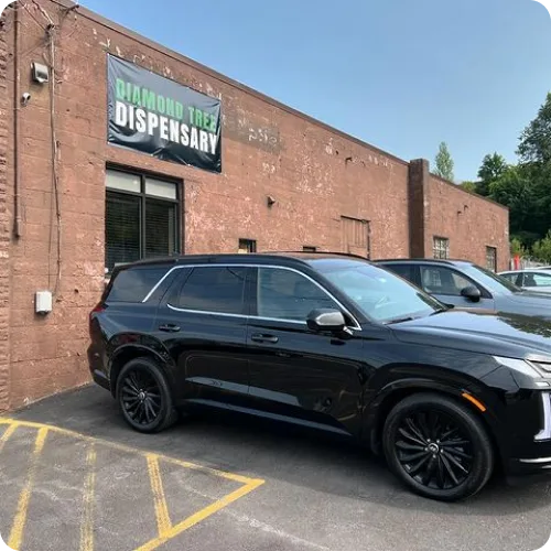 Diamond Tree Dispensary Cannabis Company Syracuse